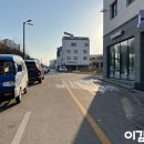 뽀삐애견샵 이미지