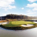 학장블루클럽 이미지