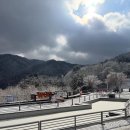 우다다애견 네이버블로그
