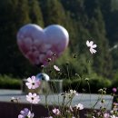 하동레일파크 이미지