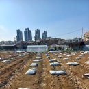 동일농약사 이미지