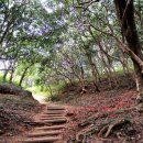 광양 옥룡사지 이미지