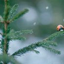 제일미니슈퍼 이미지