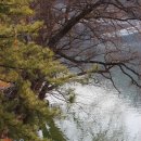 조약도회관 | 오인교의 전라도누정기행-완도 고금도 이도재 초사(草舍)