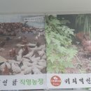 커피먹인닭 농장 이미지