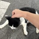 현진세차장 이미지