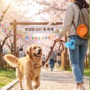 청주 반려동물 축제 학교종이댕댕댕 강아지 어질리티 학교종이댕댕댕 유기견 입양캠페인 이미지