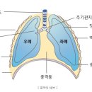 이로동물의료센터 네이버블로그