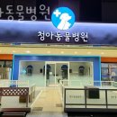 청아동물병원 이미지