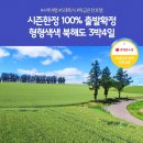 4색여행 이미지