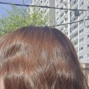 헤어블리 네이버블로그
