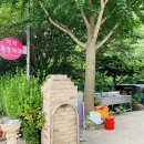 대바우가든 민박 이미지