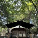 포천 키즈캠핑장 그늘이 많은 레이크문캠핑장 A05 사이트 후기