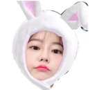 (주)파마존 이미지