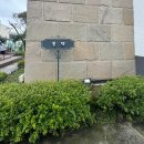 제주앓이 | 제주 아기랑 숙소 서귀포 제주앓이펜션 내돈내산 후기