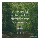 Lalasweet(랄라스윗)