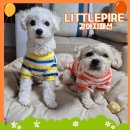 맨투맨 | 봄맞이 강아지패션 LITTLEPIRE 리틀파이어 컬러 스트라이프 플리스 맨투맨 착용 후기