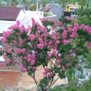 명곡체육공원 이미지