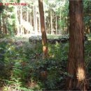 남원읍-54 이미지