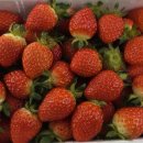 화산보건진료소 이미지