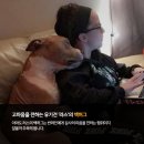(주)펫찐