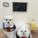 허그몽몽 이미지