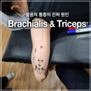 금요반 경근 파트2 5주차 이론수업 ^^ 이미지