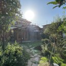 심리서점 쓰담 이미지