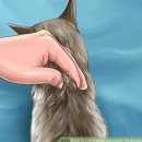 서울온누리약국 이미지