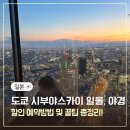 11620-14-47-3 | 도쿄 시부야스카이 할인 예약 방법, 꿀팁 총정리 일몰부터 야경까지 내돈내산 후기