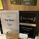 해일리 풀앤스파 | [제주 성산일출봉 숙소]해일리 풀앤스파 호텔 후기