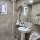 가덕 코이 이미지