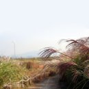 바람이 머무는 곳 이미지