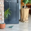 카페메리엘 이미지