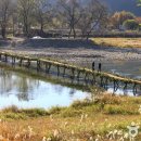 평창강로 이미지