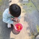 정후농장 이미지