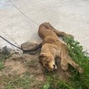 이창재 농장 이미지