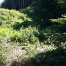 김순기농장 이미지