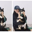 인생개컷 이미지