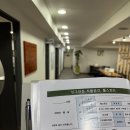 경기도 수원시 팔달구 세지로174번길 | 수원역 출장분갈이｜사무실 대형 화분 5개, 숨 쉬는 흙으로 다시 살렸어요