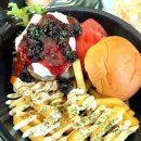 땡큐애견 이미지