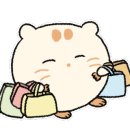 로희뷰티