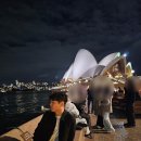 (주)로얄문화투어 | 호주 시드니 노랑풍선 패키지 4박6일 Day3. 호주 양모공장 ~ 시드니 야경투어