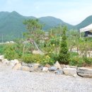 동강별아래 이미지