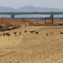 강서체육공원 이미지