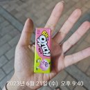 씨유서초다우점 이미지