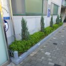 압구정동 주민센터 이미지