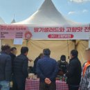 삼례 | [전북 완주] '제24회 완주 삼례 딸기 대축제' 방문 후기