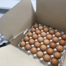 (A+)늘찬복지용구 이미지