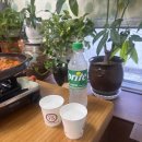 약천불고기 | 삼척 맛집 추천 약천불고기 삼척 불고기 맛집 솔직후기